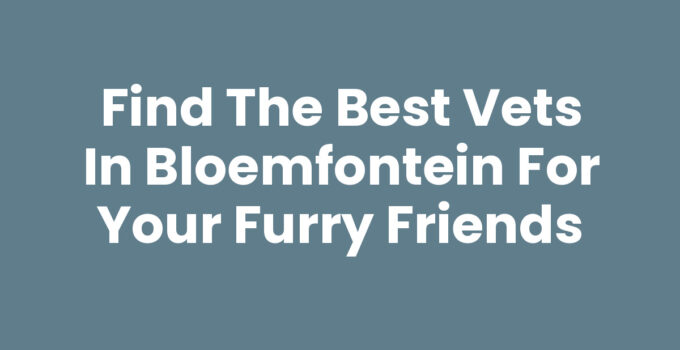 Find the Best Vets in Bloemfontein for Your Furry Friends