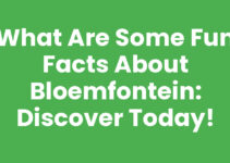 What are some fun facts about Bloemfontein: Discover Today!