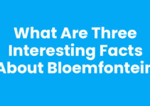 What are three interesting facts about Bloemfontein