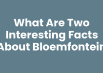 What are Two Interesting Facts About Bloemfontein What are Two Interesting Facts About Bloemfontein