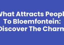 What Attracts People to Bloemfontein: Discover the Charm