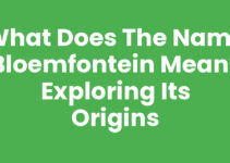 What Does the Name Bloemfontein Mean? Exploring Its Origins