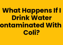 What Happens If I Drink Water Contaminated with E. coli?