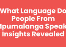 What Language Do People from Mpumalanga Speak? Insights Revealed