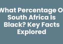 What Percentage of South Africa is Black? Key Facts Explored