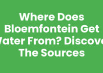 Where Does Bloemfontein Get Water From? Discover the Sources