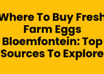 Where to Buy Fresh Farm Eggs Bloemfontein: Top Sources to Explore