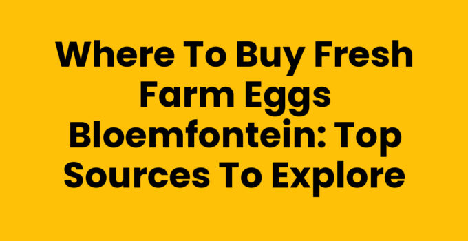 Where to Buy Fresh Farm Eggs Bloemfontein: Top Sources to Explore