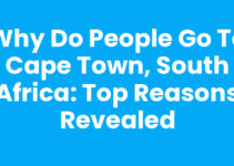 Why Do People Go to Cape Town, South Africa: Top Reasons Revealed Why Do People Go to Cape Town, South Africa: Top Reasons Revealed