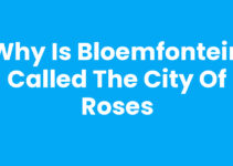 Why is Bloemfontein called the City of Roses