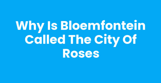 Why is Bloemfontein called the City of Roses