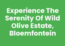 Experience the Serenity of Wild Olive Estate, Bloemfontein