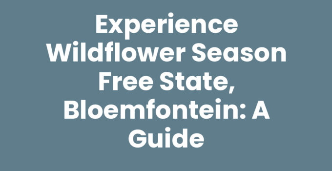 Wildflower season in Free State, Bloemfontein showcasing vibrant blooms.