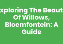 Exploring the Beauty of Willows, Bloemfontein: A Guide