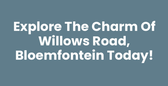 A scenic view of Willows Road, Bloemfontein showcasing local shops and nature.