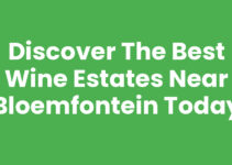 Discover the Best Wine Estates Near Bloemfontein Today Discover the Best Wine Estates Near Bloemfontein Today